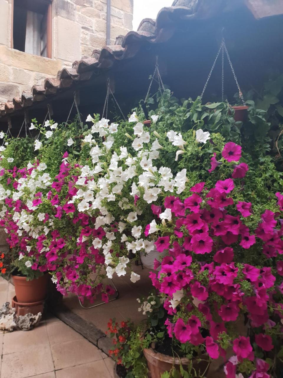 El Cuartelillo Viejo ξενώνας Polientes Εξωτερικό φωτογραφία